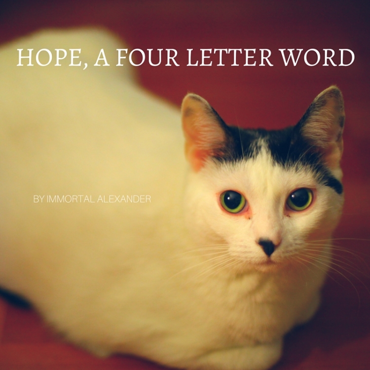 HOPE, A FOUR LETTER WORD